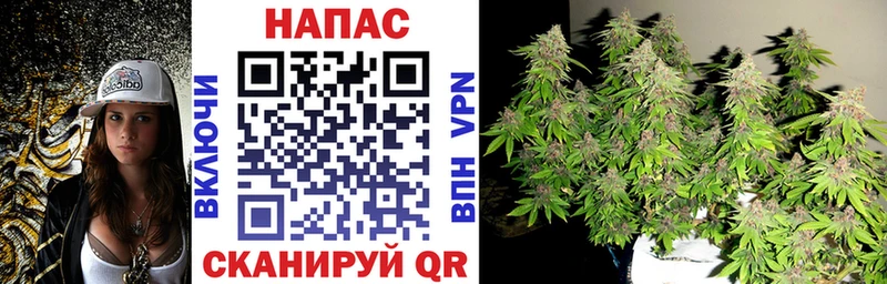 Каннабис конопля Калач
